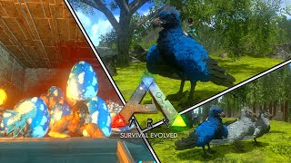 Incubando 100 Ovos de Argentavis  ARK Survival Evolved Mobile [upl. by Armahs]