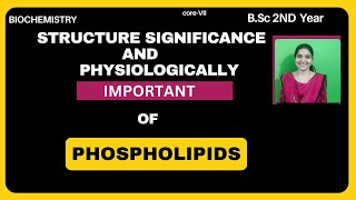 Structure And Physiologically Important of Phospholipids BSc 2nd Yearlipids phospholipids [upl. by Charry701]