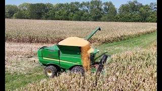 FIRST CORN HARVEST Video of the 2024 Season [upl. by Rizika]