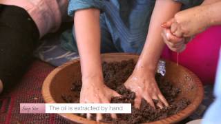 The Making of Argan Oil with Josie Maran [upl. by Saduj]