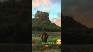 Sri lanka is the most beautiful country in the world🌍❤️ nature love alonealone sanduuvlog [upl. by Anat692]