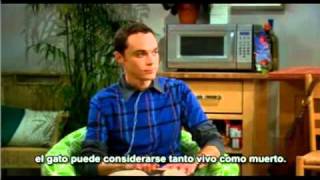 Gato de Schrödinger  The Big Bang Theory  Sub Esp [upl. by Melissa656]