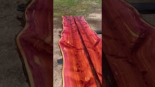 Rough cut cedar mantles on the mill today sawmilling woodworking wood [upl. by Doane]