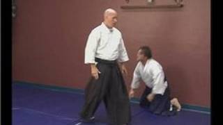 Aikido Basics Ushiro Waza  Aikido Hiji Tori Kotegaeshi Defense [upl. by Anoek42]