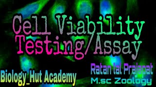 Cell Viability TestingAssay by Ratan lal Prajapat Cell cytotoxicity MTT Assay Cell Viability [upl. by Johannes]