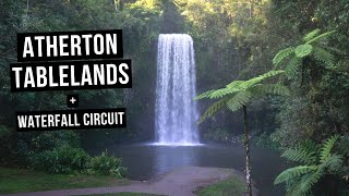 The Atherton Tablelands Waterfall Circuit  Australia travel guide to Millaa Millaa Falls  Cairns [upl. by Madoc]