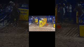 Team roping 2023 NFR team roping [upl. by Ellenrad]