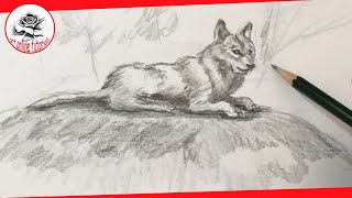 How to Draw a Realistic Wolf Step by Step for beginners EASY [upl. by Notsirhc404]