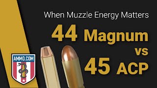 44 Magnum vs 45 ACP Kings of Muzzle Energy [upl. by Mihcaoj]