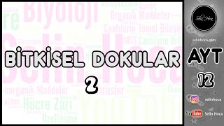 16 Bitkisel Dokular 2 [upl. by Ettevol]