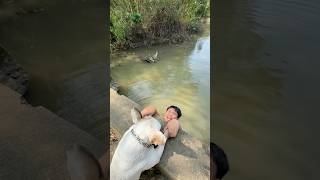 The Dog Saves Its Owner from Being Swept Away by the FloodPet doglover dog [upl. by Florette]