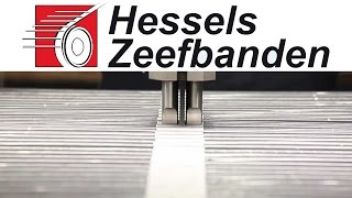 Hessels Zeefbanden NL [upl. by Lebam]