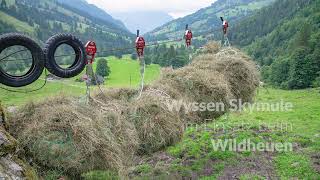 Wyssen Skymule Einsatz beim Wildheuen [upl. by Enniroc]