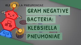 Gram Negative Bacteria Klebsiella pneumoniae [upl. by Naujahs]