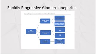 Internal MedicineNephrology Board Review Questions Glomerulonephritis [upl. by Ellennahs]