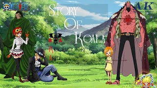 Koala  Story of Koala  Member of Revolutionary Army  One Piece [upl. by Tyra519]