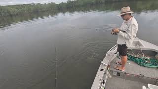 Cairns Inlet delivers quality fish [upl. by Nosreve]