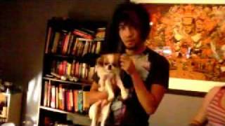 Singing Radiohead to a dog rockband [upl. by Allesor]