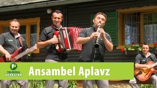 Ansambel Aplavz  Gozdarjeva povest Uradna verzija Official video [upl. by Schiff]