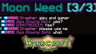 The Wynncraft Community Experience [upl. by Galvin]