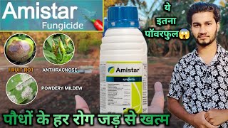 syngenta Amistar fungicideazoxystroxibin 23 schow to usepricetechnical namefungus diseases [upl. by Cecilius244]