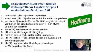 Deutschkurs C1C2 Wortschatz  Strukturen Deutsche Literatur [upl. by Arick]