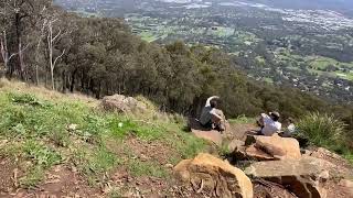 mount Dandenong Melbourne Australia [upl. by Driskill]