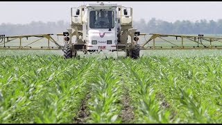 Increased immunity in weeds may threaten US crops [upl. by Adeys]