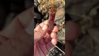 Red Carnelian Found While Looking For Ellensburg Blues [upl. by Allain]