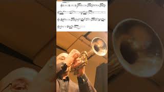 Sonata for Trumpet and Piano by R Christopher Teichler mvt 1  opening trumpet intheshed fun [upl. by Sirronal340]