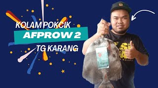 HQC Anglers  Kolam Pokcik Afprow 2 [upl. by Tice]