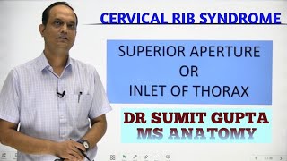 INLET OF THORAX  Cervical rib [upl. by Anaib510]