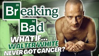 What if Walter White Never got Cancer  Breaking Bad Without Walter White [upl. by Delphina]