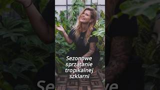 Sezonowe sprzątanie SZKLARNI i POGADANKA 🌱 [upl. by Aicad]