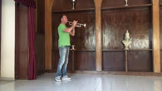 G Donizetti  Don Pasquale  Solo Trumpet  Prelude to Act II  New Bach Stradivarius Model 37 Test [upl. by Vivle]