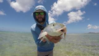 SIGHT CASTING BONEFISH IN HAWAII ON A FLY ROD WITH YOUR BROTHER flyfishinghawaii bonefish campr [upl. by Perl777]