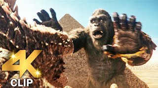 Godzilla Vs Kong  GODZILLA X KONG THE NEW EMPIRE 2024 Movie CLIP 4K [upl. by Keenan68]