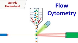 Flow Cytometry animation [upl. by Michiko]