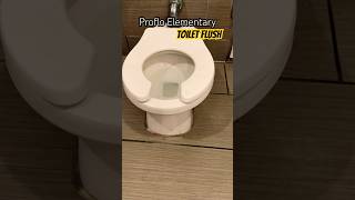 Proflo Elementary Toilet Flush for the Kiddos  Shops at Santa Anita Arcadia Mall California USA [upl. by Bettzel]