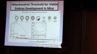 Autologous Mitochondrial Injection to Improve Oocyte Quality  Kutluk Oktay [upl. by Nor]