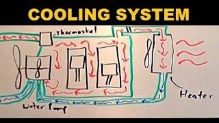 Radiators  Explained [upl. by Hannover]