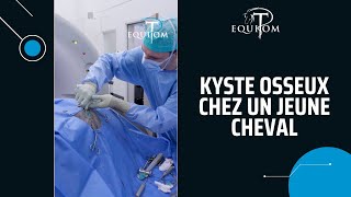 Kyste osseux chez un jeune cheval Explication 🎥🇫🇷🇬🇧133 🇳🇱03 09 [upl. by Nosned202]