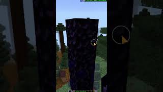 sortsvideo  craftsman nether portal [upl. by Treve]