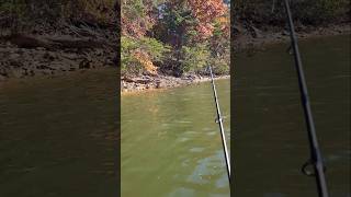 Fall Fishing Lake Lanier Largemouth [upl. by Haveman]