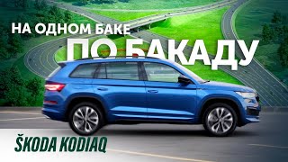 Кодиак нас замучил  реальный пробег на одном баке 887 км  skoda kodiaq [upl. by Ecniv872]