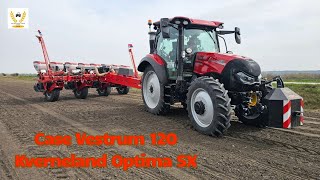 Case Vestrum 120 vs Kverneland Optima SX  Corn planting 2024 [upl. by Ailimat]