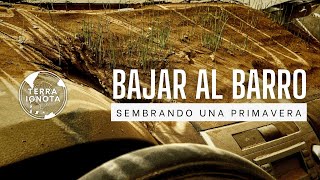 242 Bajar al barro [upl. by Suu]