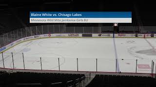 Minnesota Wild Mite Holiday Jamboree Girls 8U [upl. by Imotas]