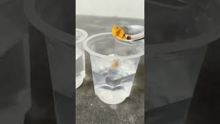 glass water experimentlike share comment subscribe please friends [upl. by Amehsyt772]