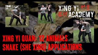 Xing Yi Quan Snake She Xing Applications Xingyiquan  Hsing I Chuan [upl. by Aneela]